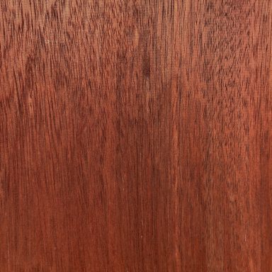Bloodwood Bloodwood